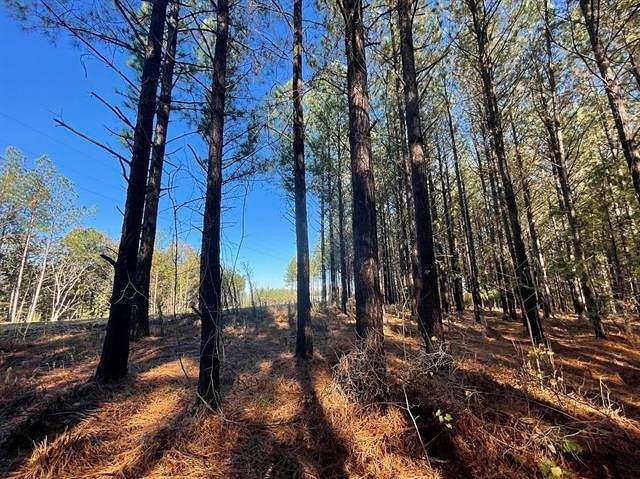 14 Acres of Recreational Land for Sale in Linden, Tennessee