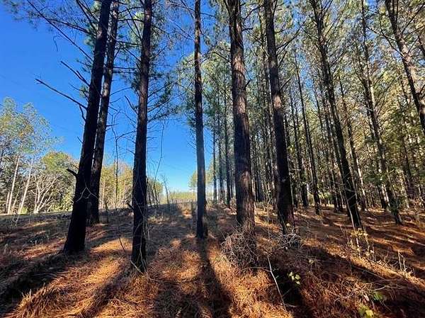 14 Acres of Recreational Land for Sale in Linden, Tennessee