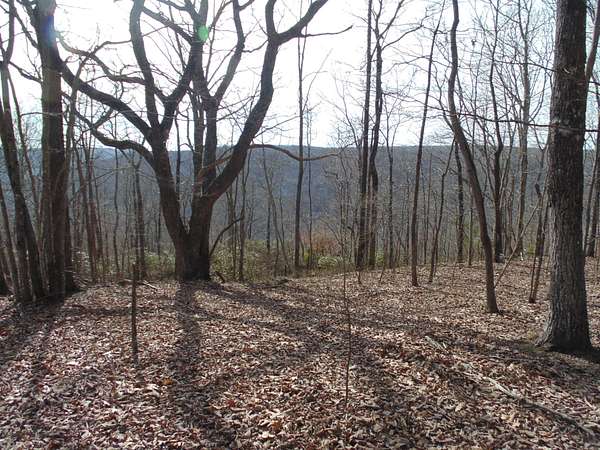 3 Acres of Residential Land for Sale in Sewanee, Tennessee