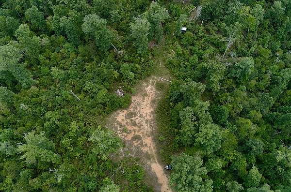 87 Acres of Recreational Land for Sale in Parsons, Tennessee