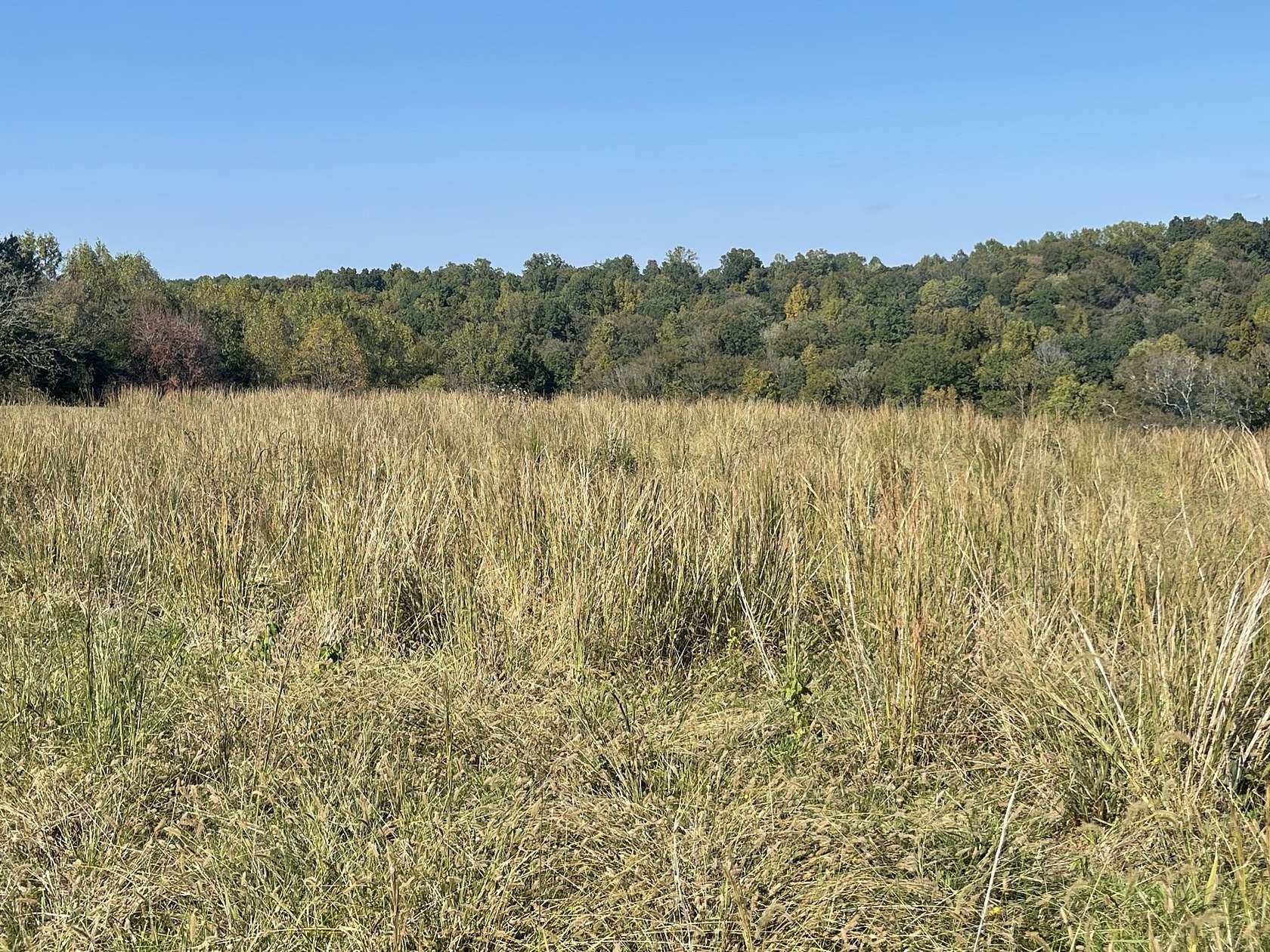 2.57 Acres of Residential Land for Sale in Red Boiling Springs, Tennessee