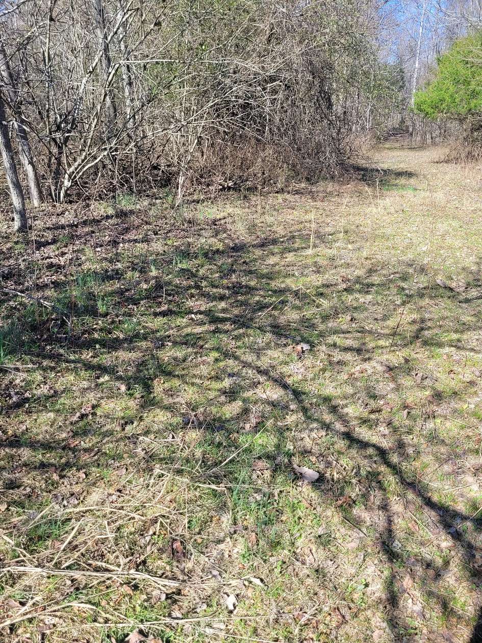 141 Acres of Recreational Land for Sale in Prospect, Tennessee