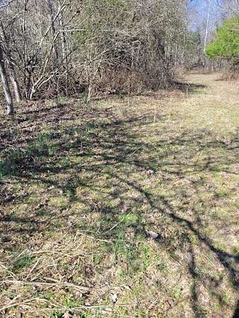 141 Acres of Recreational Land for Sale in Prospect, Tennessee