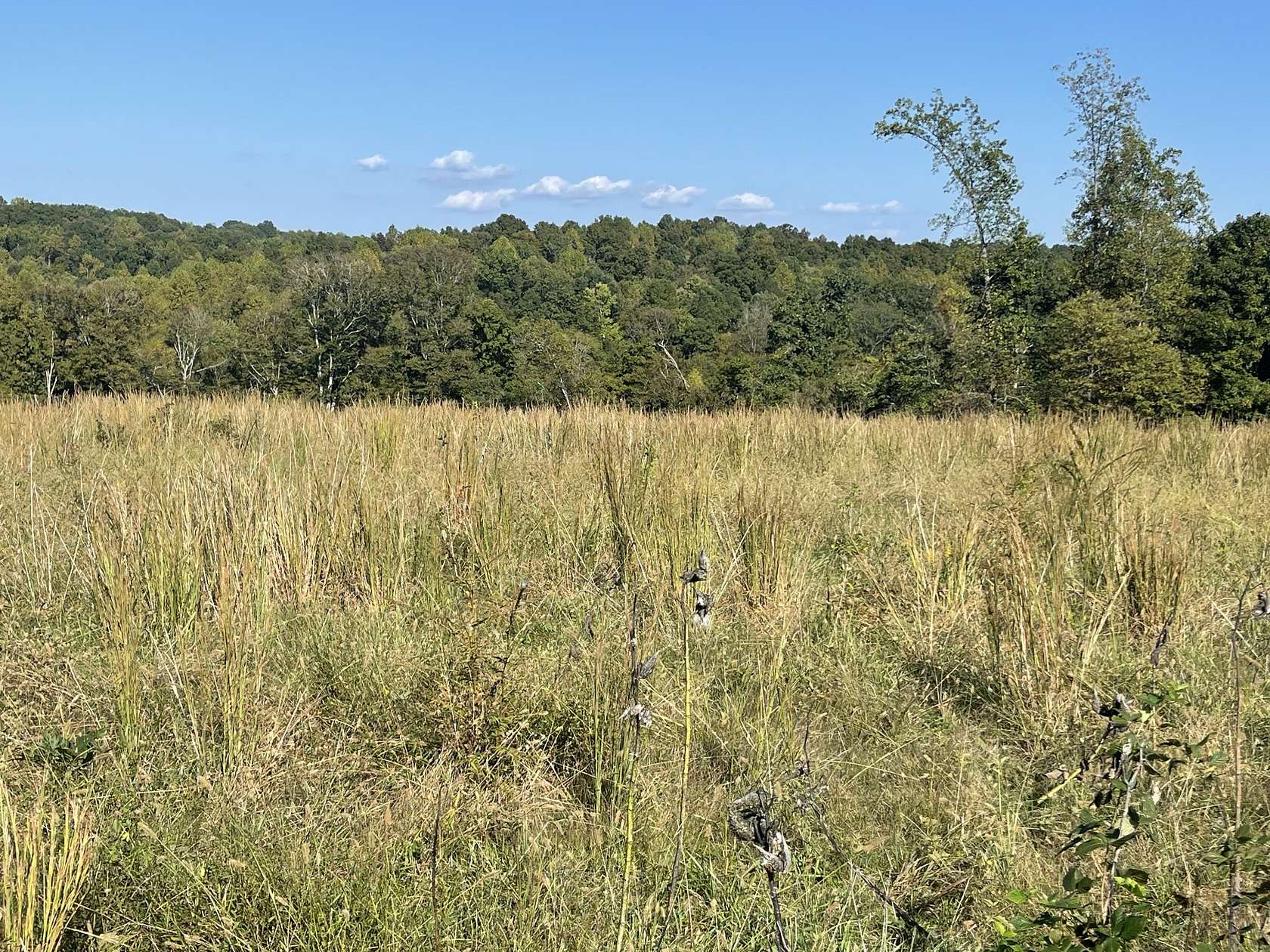 1.29 Acres of Residential Land for Sale in Red Boiling Springs, Tennessee