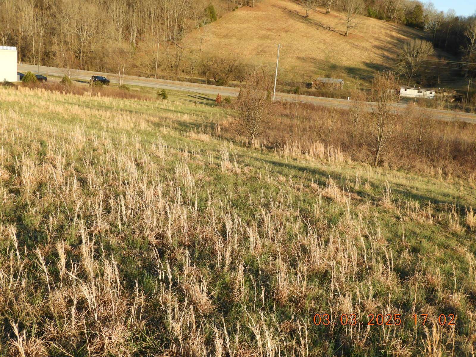 1 Acre of Residential Land for Sale in Frankewing, Tennessee