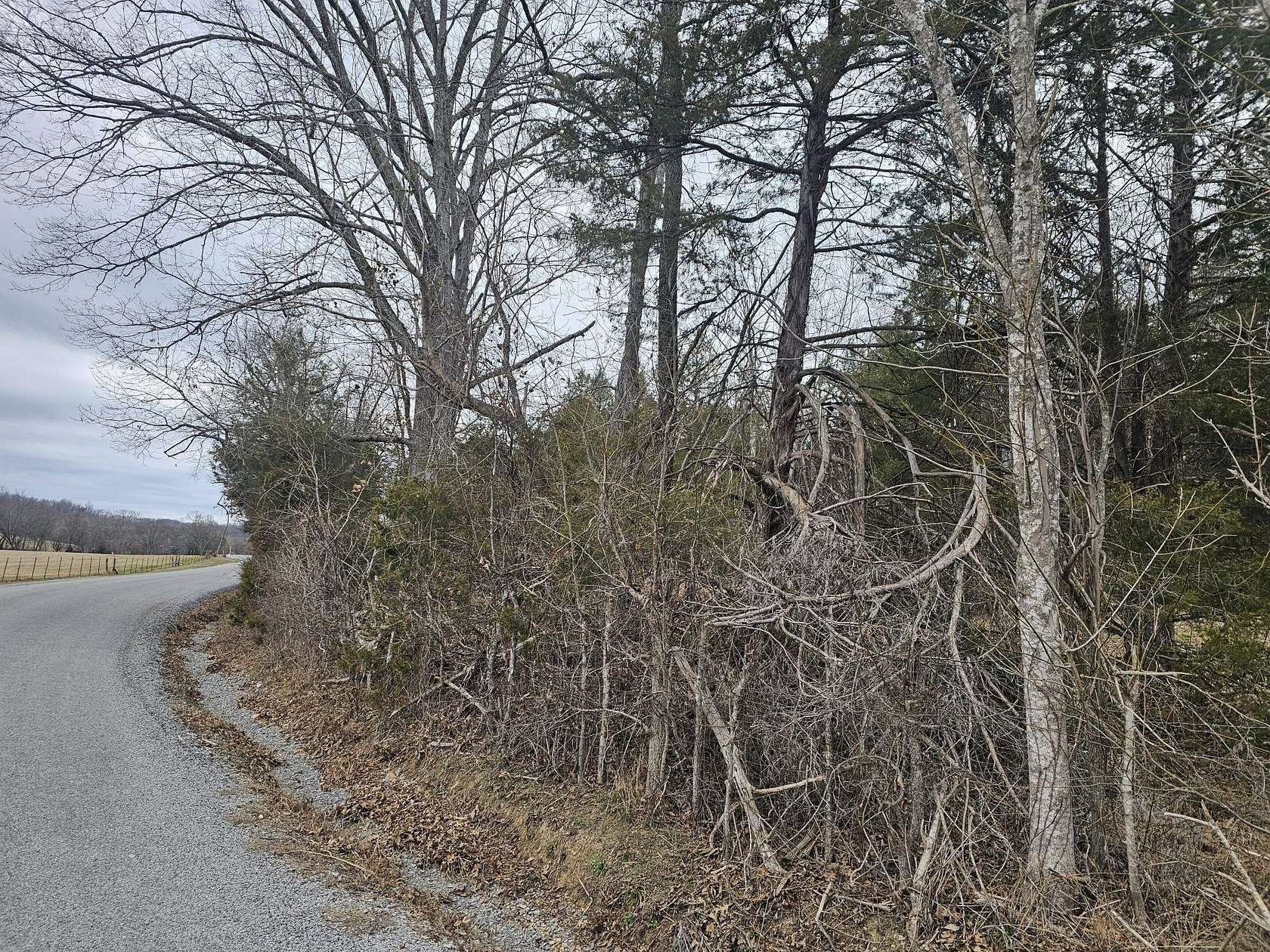 16.5 Acres of Recreational Land for Sale in Hampshire, Tennessee