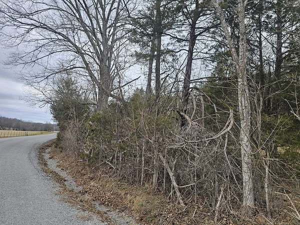 16.5 Acres of Recreational Land for Sale in Hampshire, Tennessee