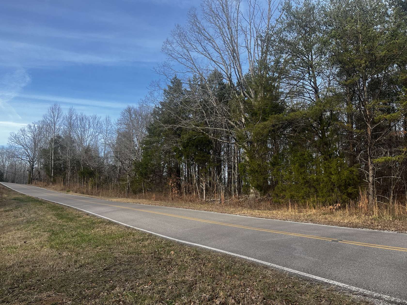 78.6 Acres of Recreational Land for Sale in Sugar Tree, Tennessee