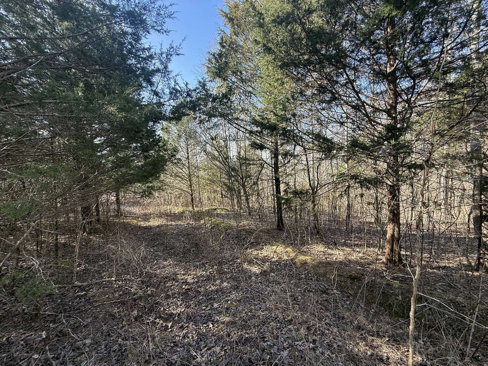 15.8 Acres of Land for Sale in Southside, Tennessee