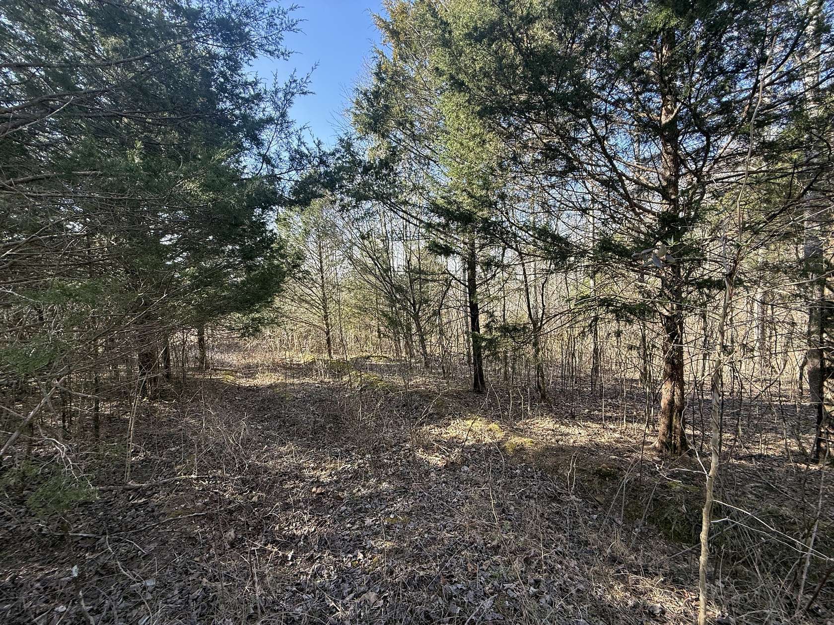 15.8 Acres of Land for Sale in Southside, Tennessee