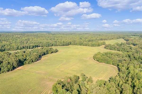218 Acres of Agricultural Land for Sale in Denmark, Tennessee