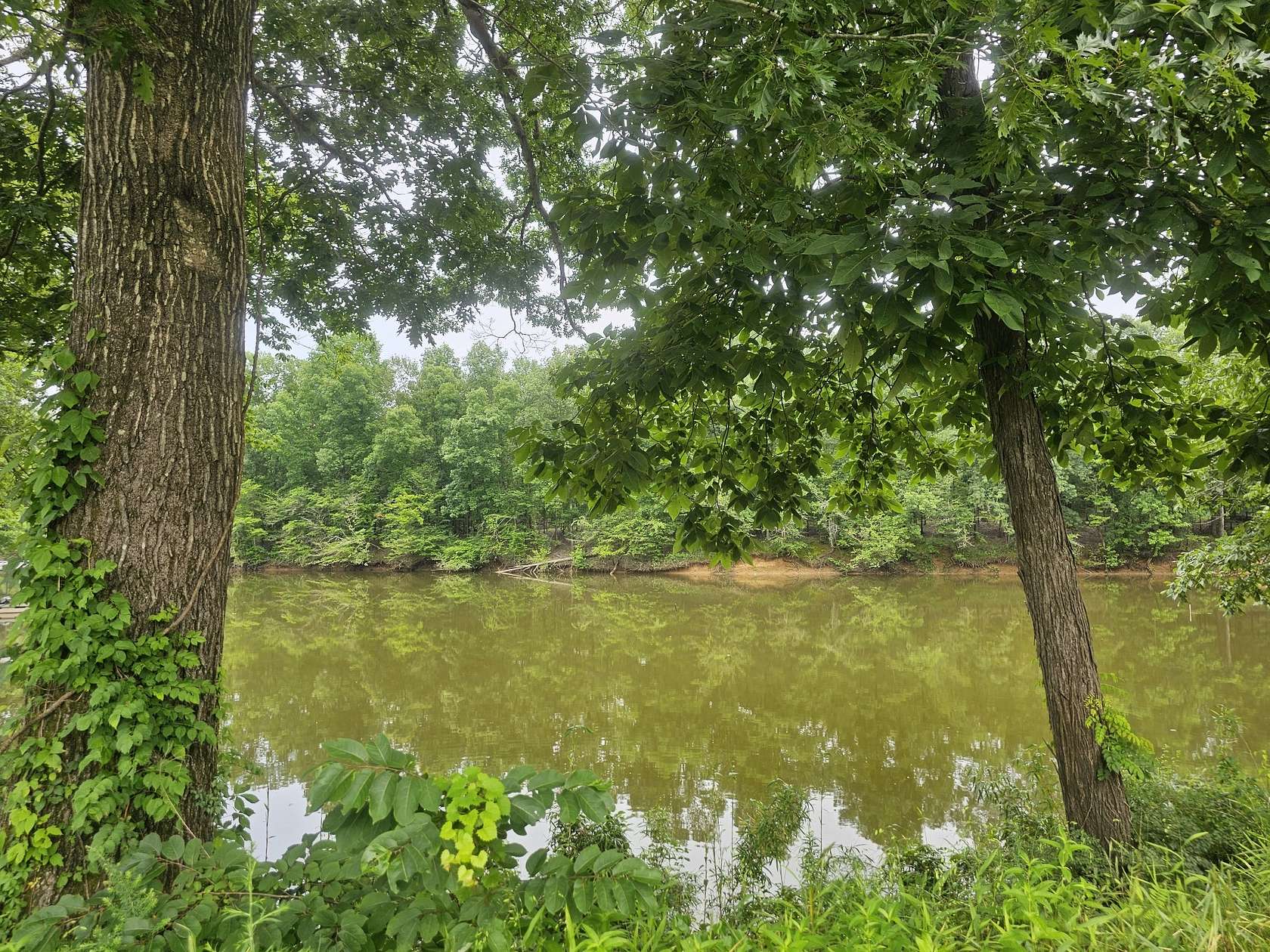 1.19 Acres of Residential Land for Sale in Clifton, Tennessee