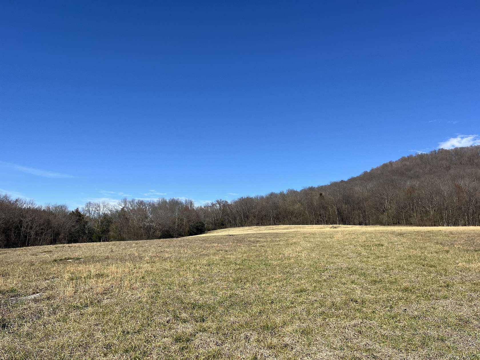 11.4 Acres of Agricultural Land for Sale in Milton, Tennessee