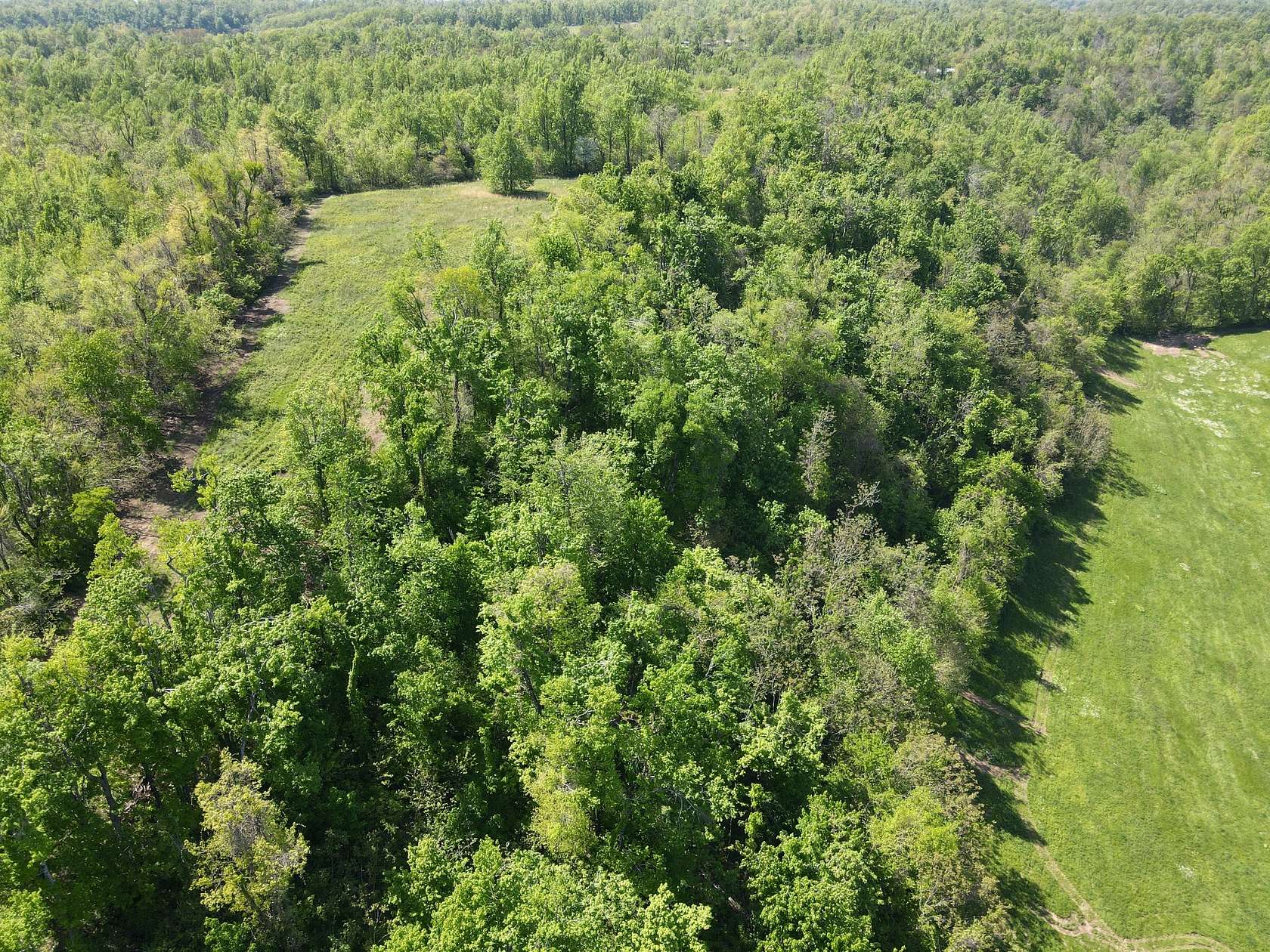 10.4 Acres of Land for Sale in Beechgrove, Tennessee