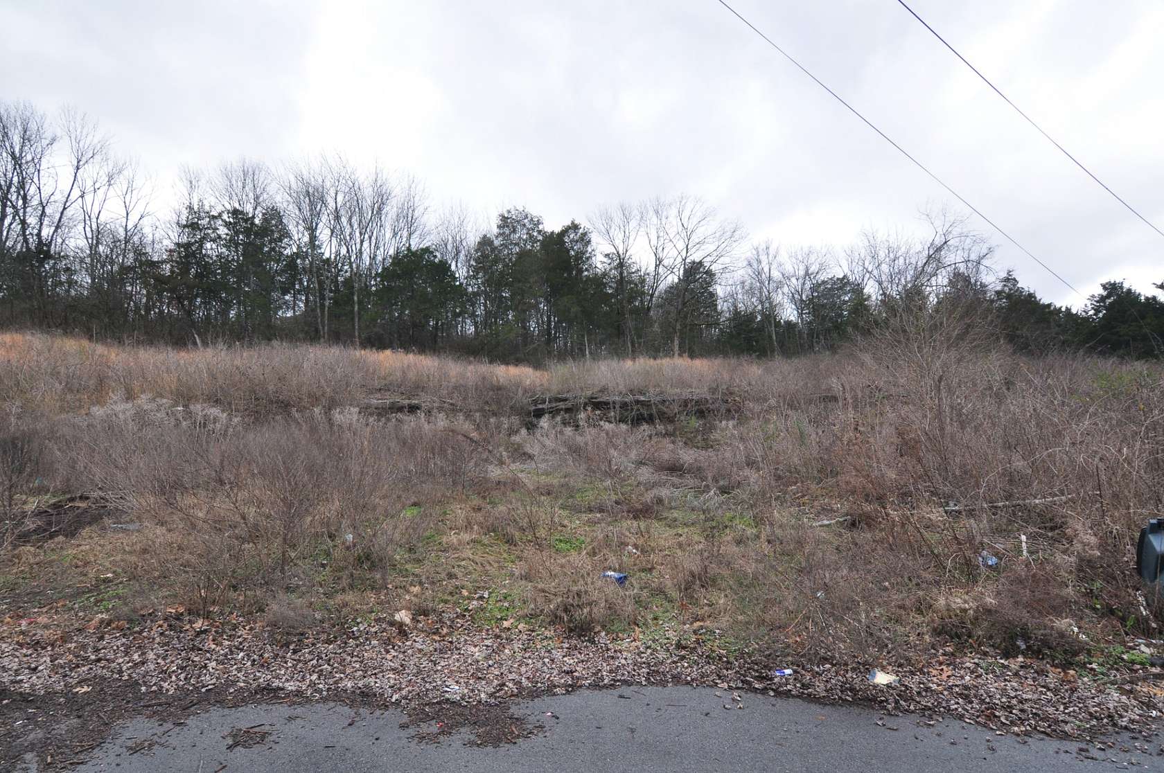 0.25 Acres of Residential Land for Sale in Nashville, Tennessee