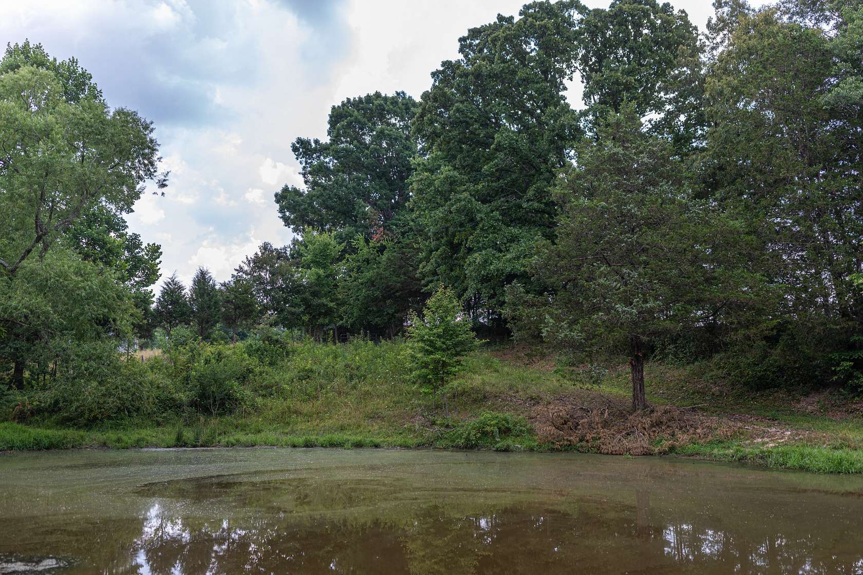 118 Acres of Recreational Land & Farm for Sale in Westmoreland, Tennessee