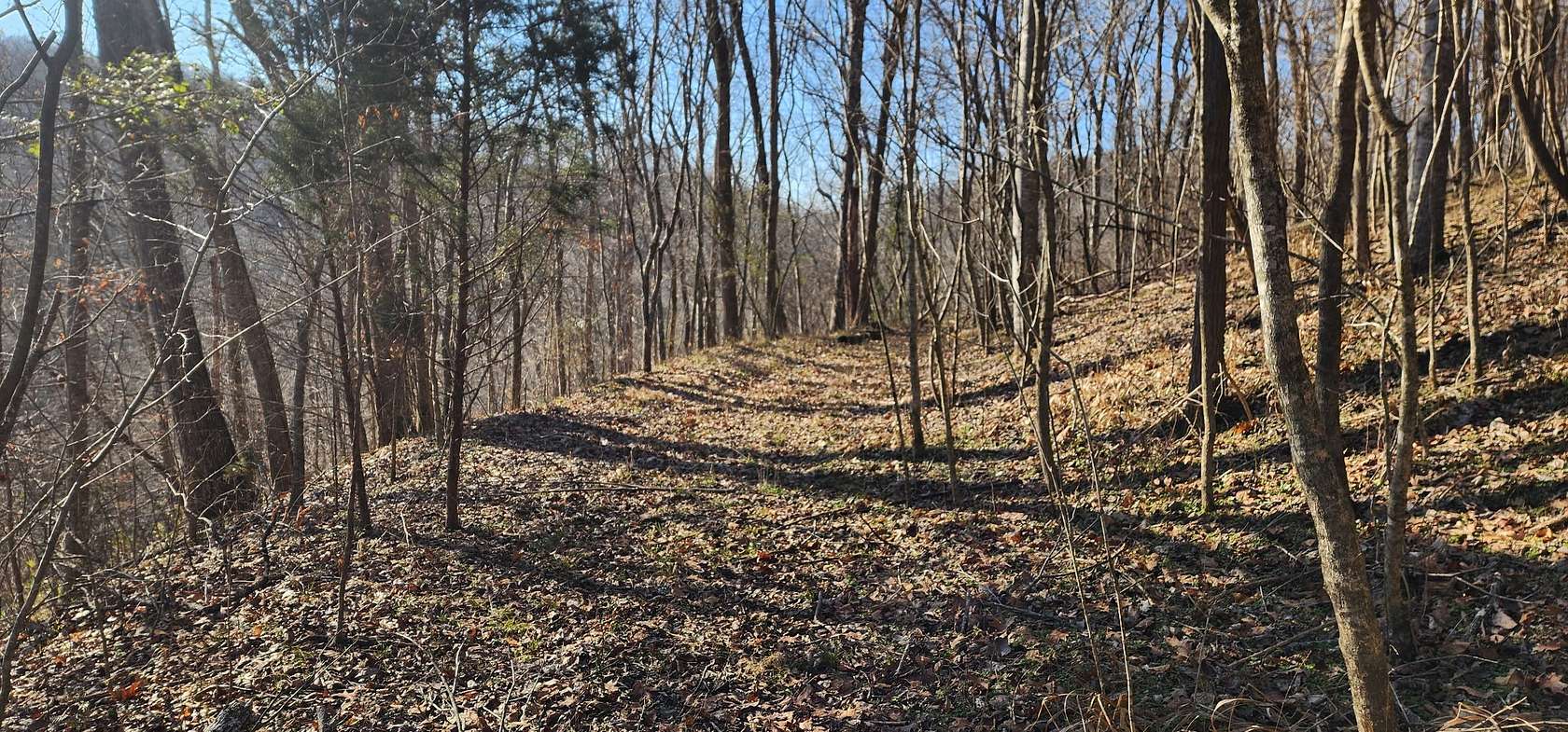 0.72 Acres of Residential Land for Sale in Smithville, Tennessee