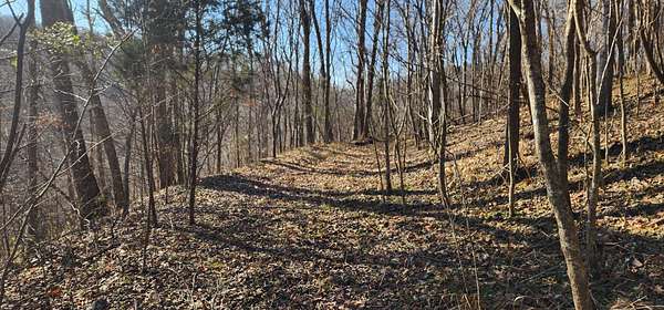 0.72 Acres of Residential Land for Sale in Smithville, Tennessee