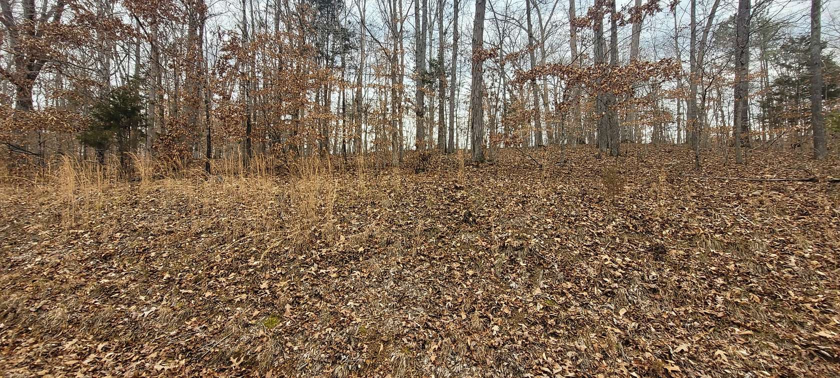 0.25 Acres of Residential Land for Sale in Bumpus Mills, Tennessee