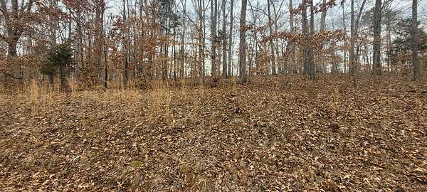 0.25 Acres of Residential Land for Sale in Bumpus Mills, Tennessee