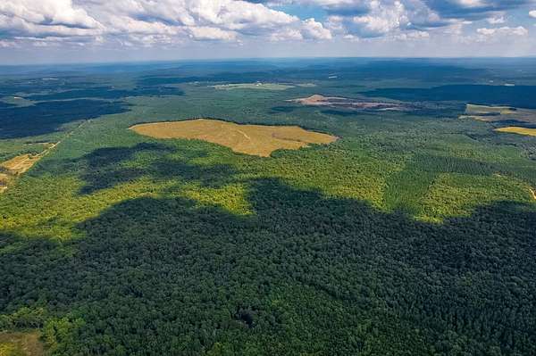 543 Acres of Recreational Land for Sale in Altamont, Tennessee