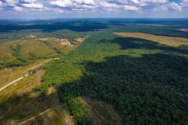 174 Acres of Recreational Land for Sale in Altamont, Tennessee