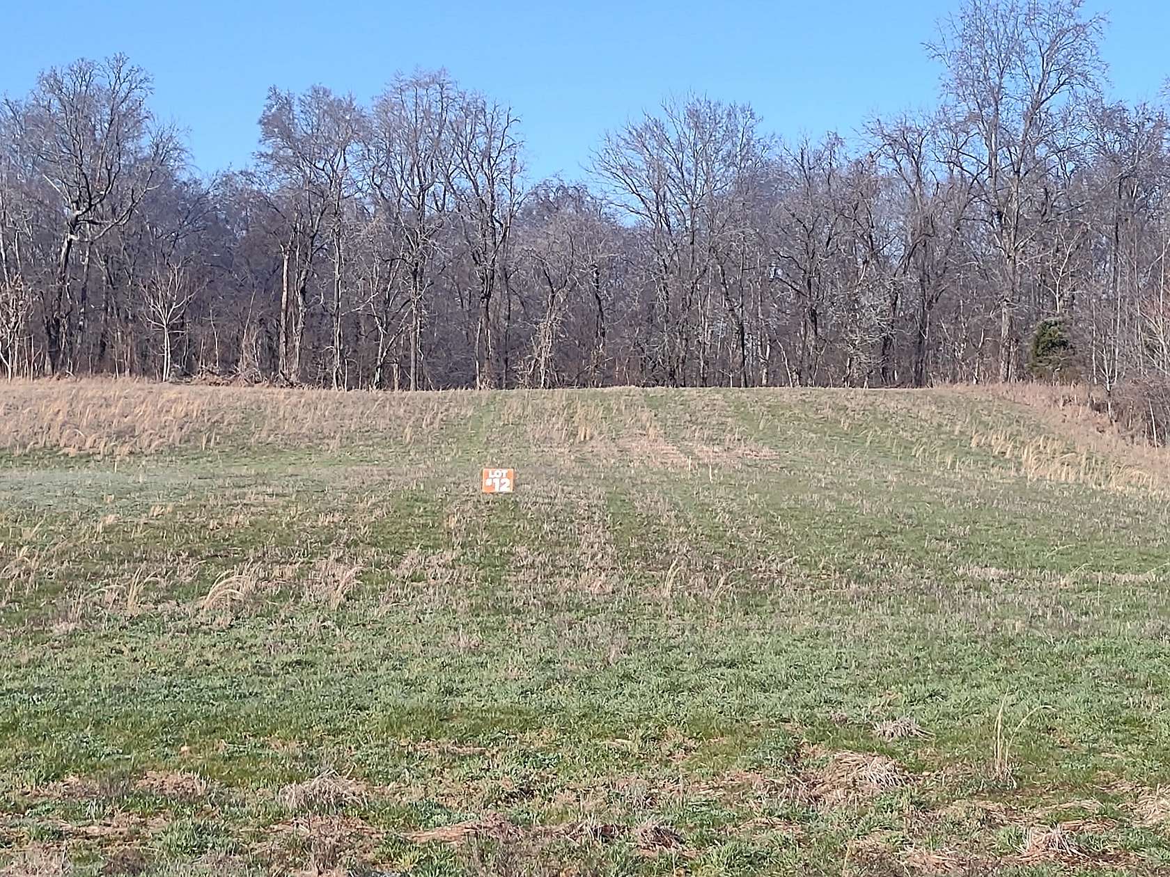 5.1 Acres of Residential Land for Sale in Springfield, Tennessee