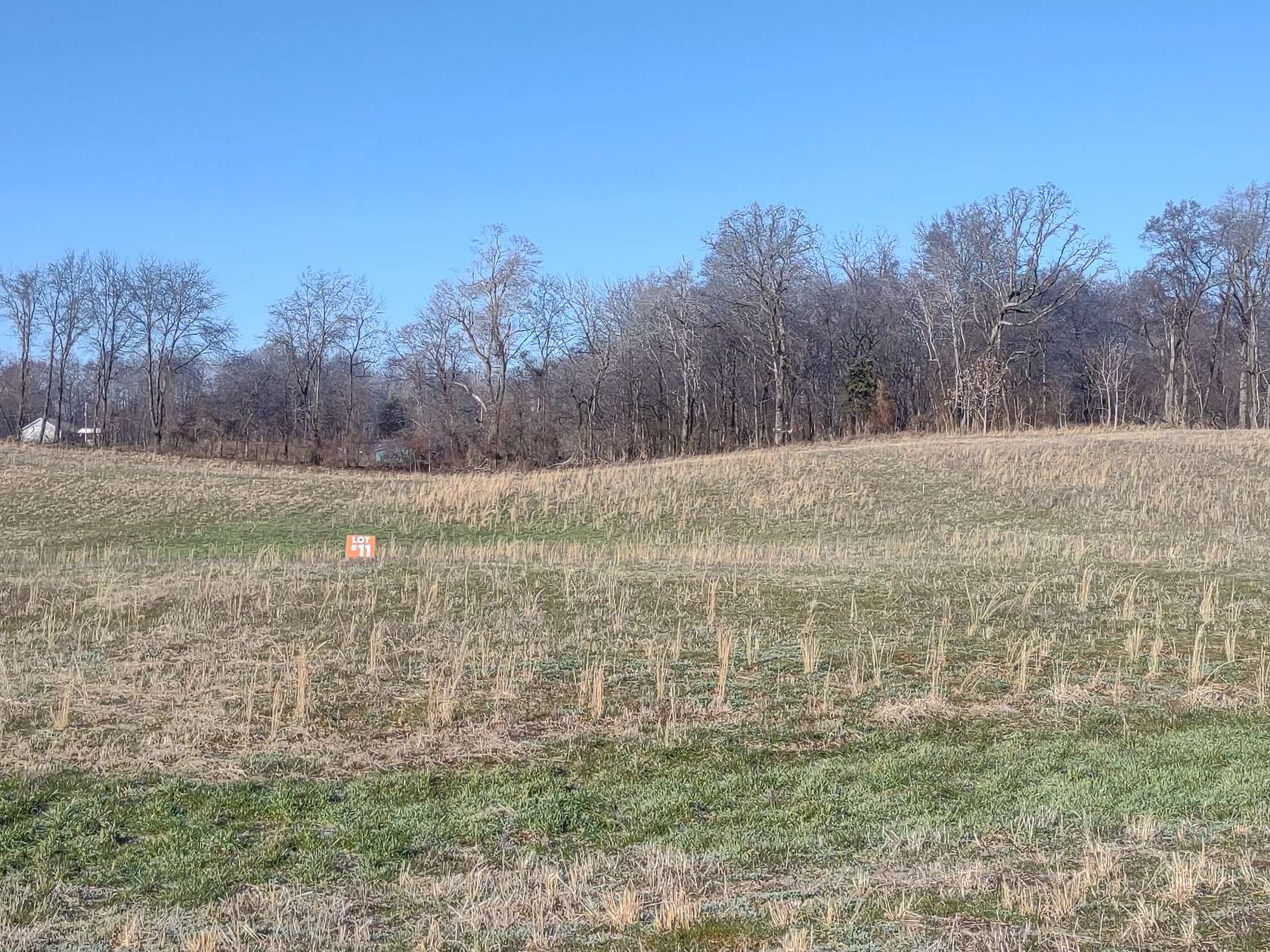 5 Acres of Residential Land for Sale in Springfield, Tennessee