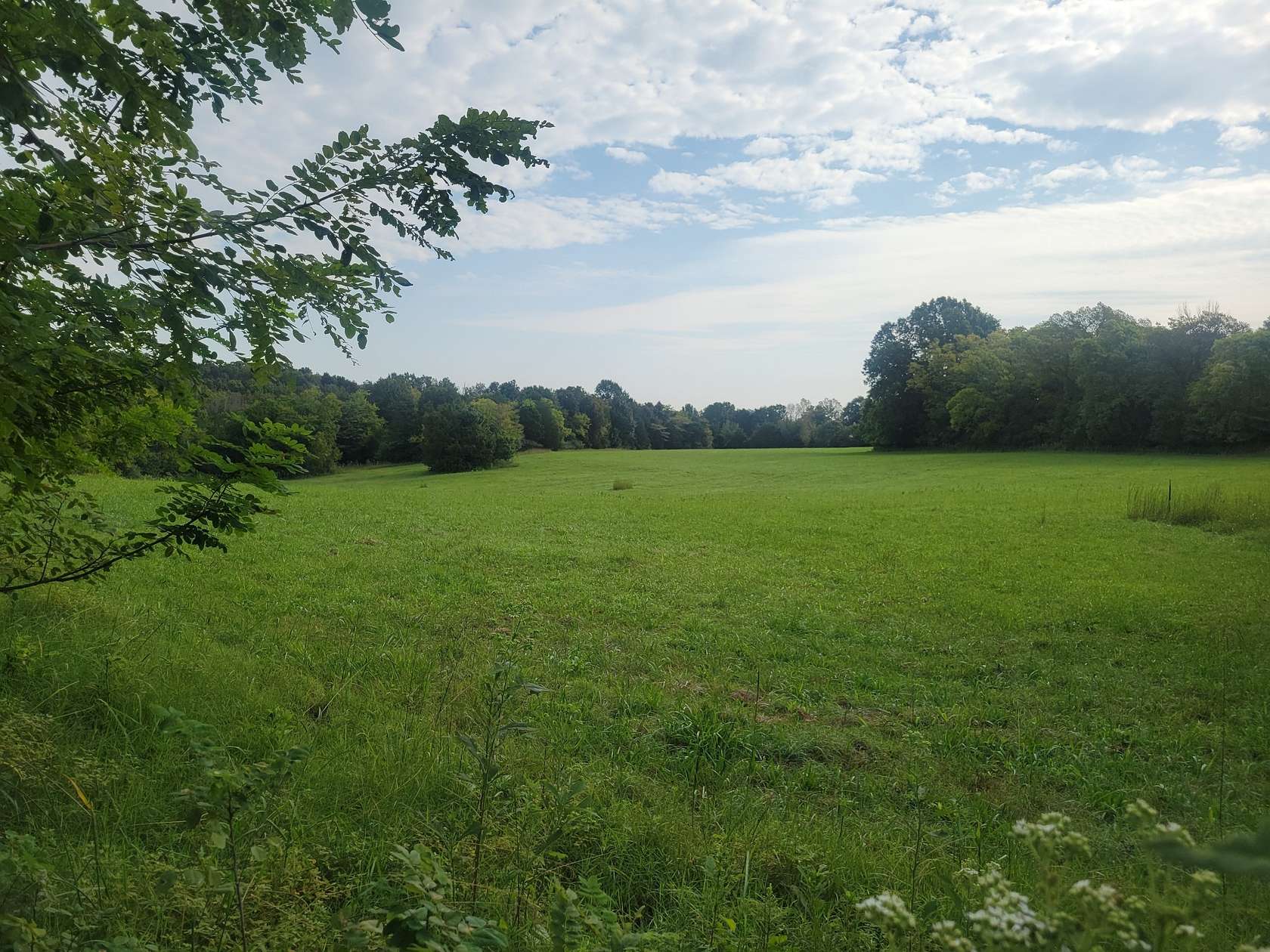 1.24 Acres of Residential Land for Sale in Lewisburg, Tennessee