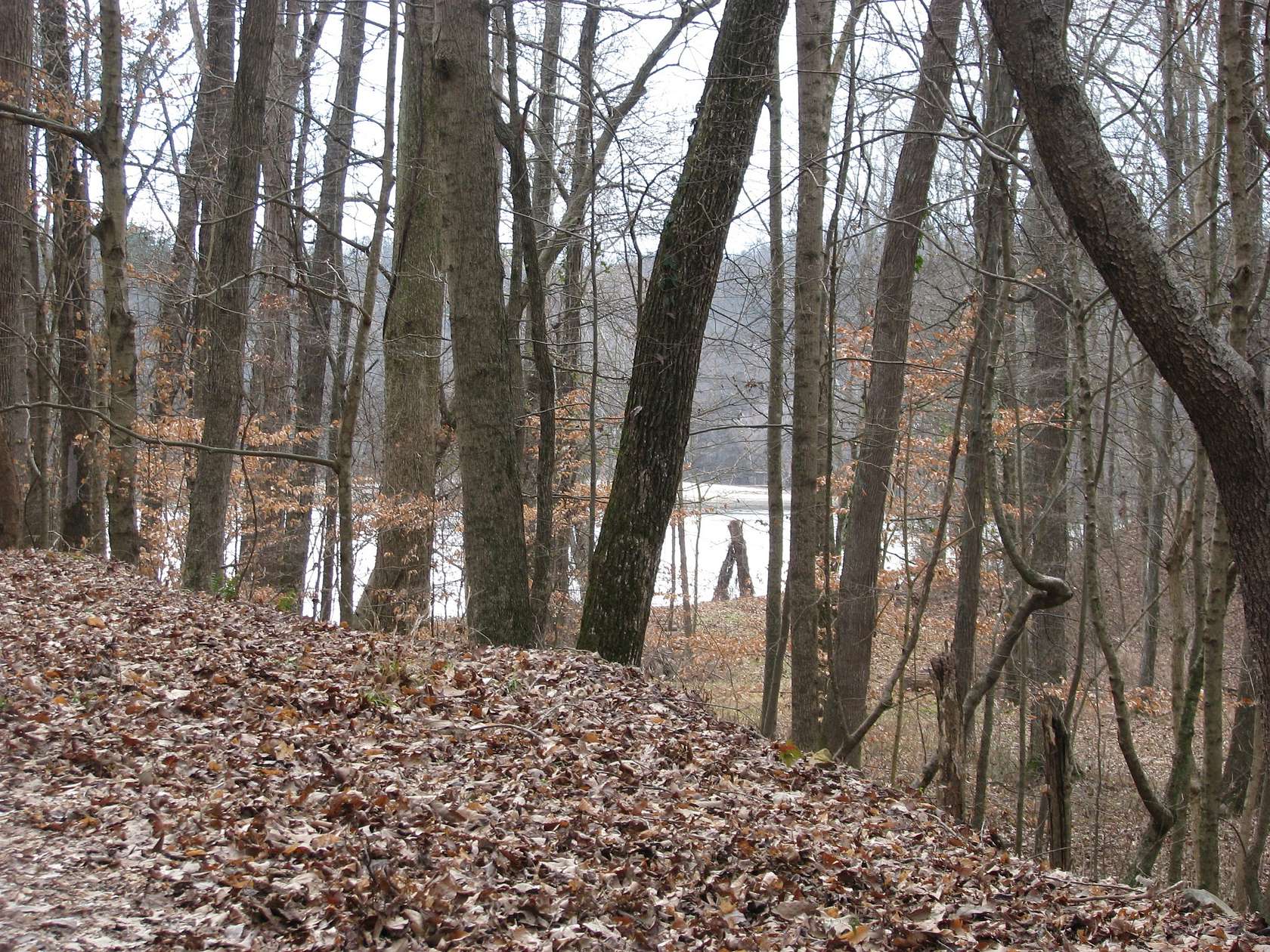 1.13 Acres of Residential Land for Sale in Waverly, Tennessee