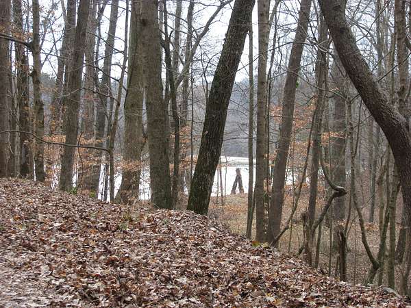 1.13 Acres of Residential Land for Sale in Waverly, Tennessee