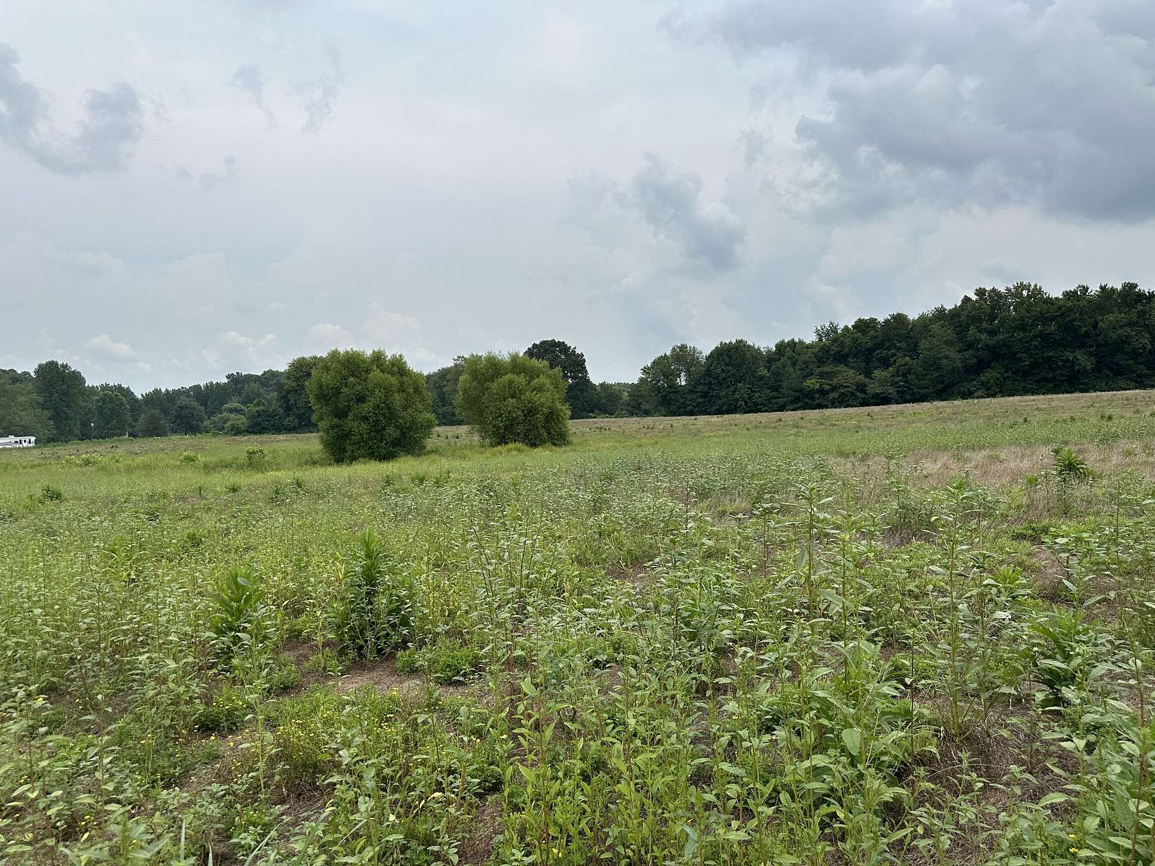 5.88 Acres of Residential Land for Sale in Joelton, Tennessee