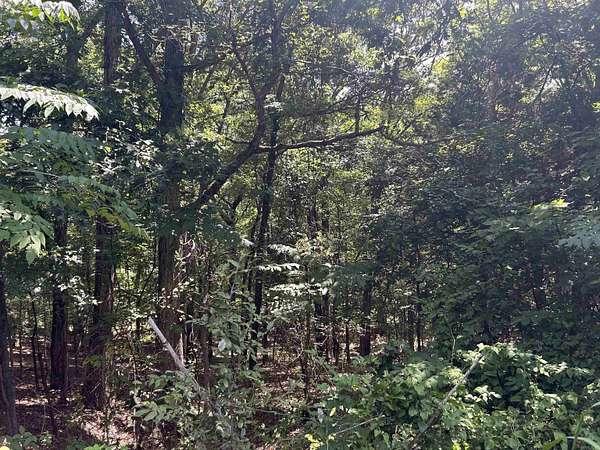 3.26 Acres of Residential Land for Sale in Searcy Township, Arkansas