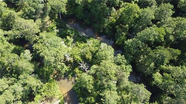 59.2 Acres of Recreational Land for Sale in Folsom, Louisiana
