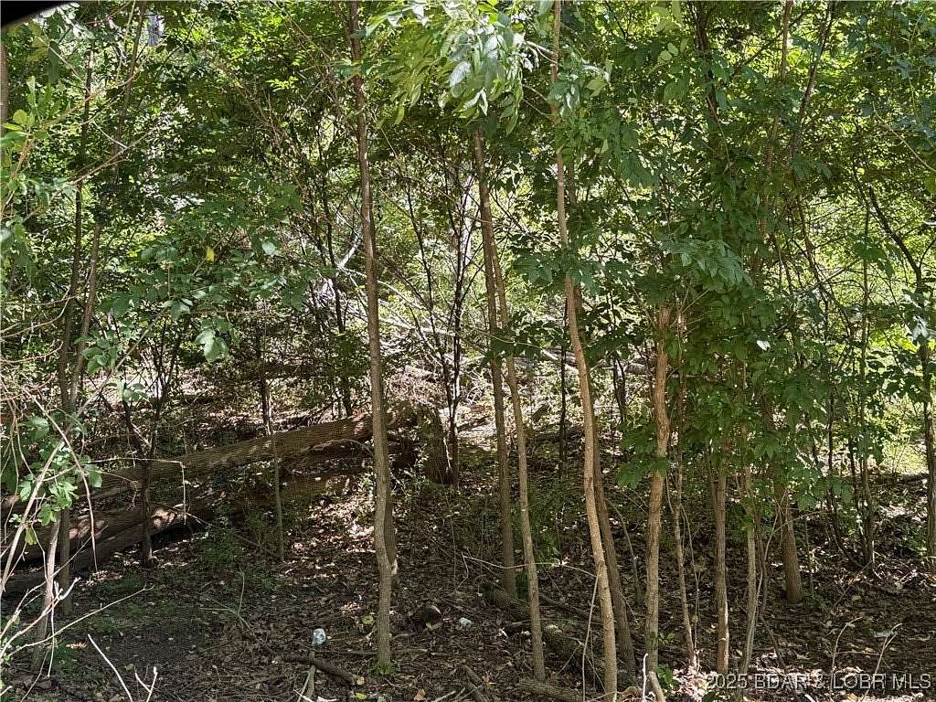 3 Acres of Residential Land for Sale in Camdenton, Missouri