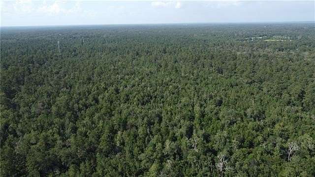 83 Acres of Recreational Land for Sale in Folsom, Louisiana