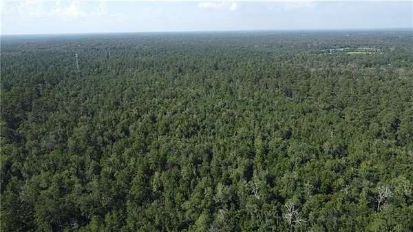 83 Acres of Recreational Land for Sale in Folsom, Louisiana