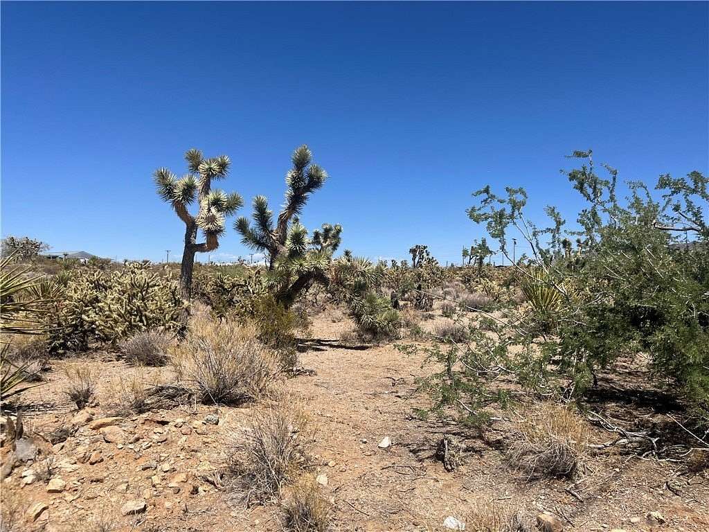 1 Acre of Land for Sale in Dolan Springs, Arizona