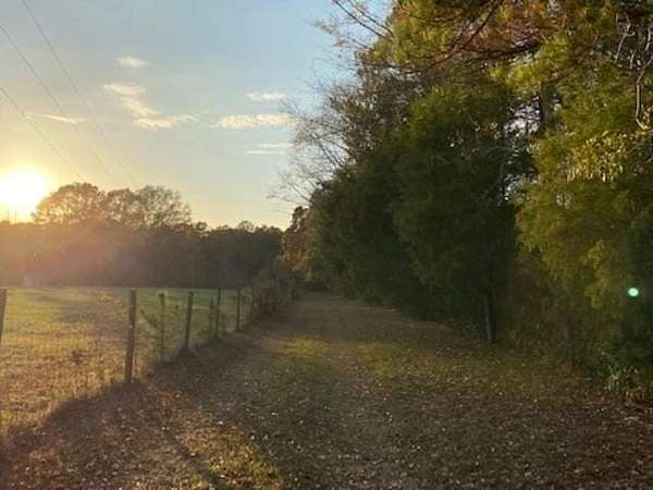 38.3 Acres of Recreational Land for Sale in McDonough, Georgia