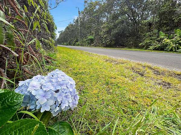 0.46 Acres of Residential Land for Sale in Volcano, Hawaii