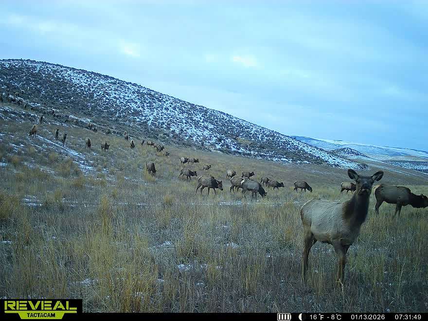 1,046 Acres of Recreational Land for Sale in Craig, Colorado