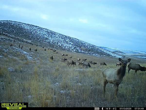 1,046 Acres of Recreational Land for Sale in Craig, Colorado