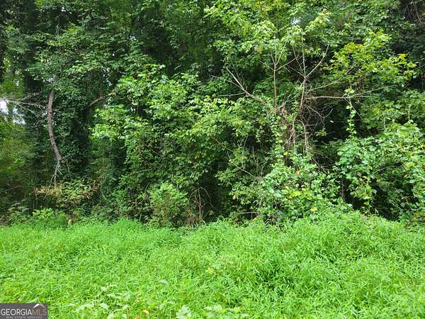 0.35 Acres of Residential Land for Sale in Ellenwood, Georgia
