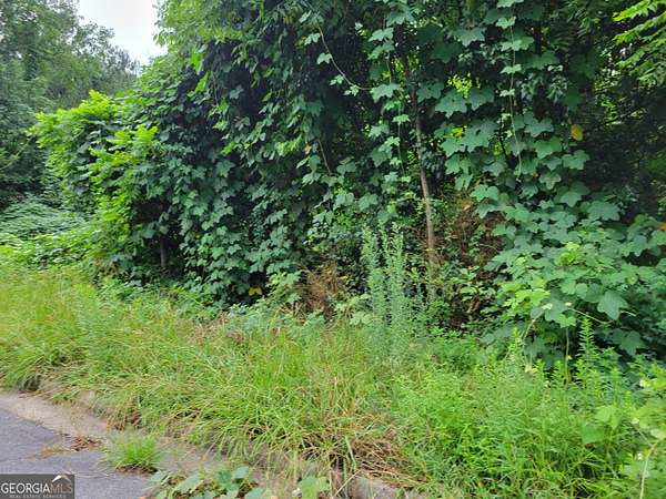 0.26 Acres of Residential Land for Sale in Jonesboro, Georgia