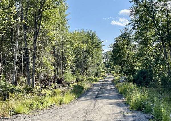 11.5 Acres of Land for Sale in Surry, Maine