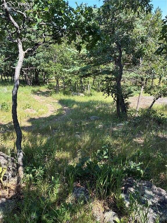 1 Acre of Residential Land for Sale in Colorado Springs, Colorado