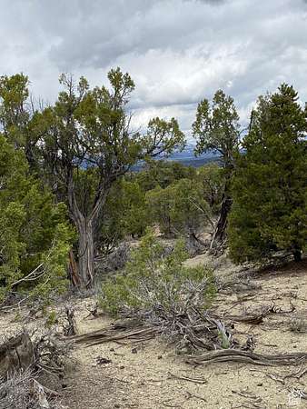 0.55 Acres of Residential Land for Sale in Fruitland, Utah
