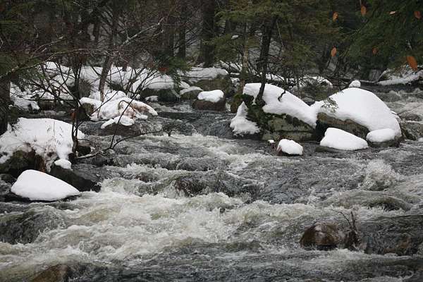 15.2 Acres of Land for Sale in Tamworth, New Hampshire