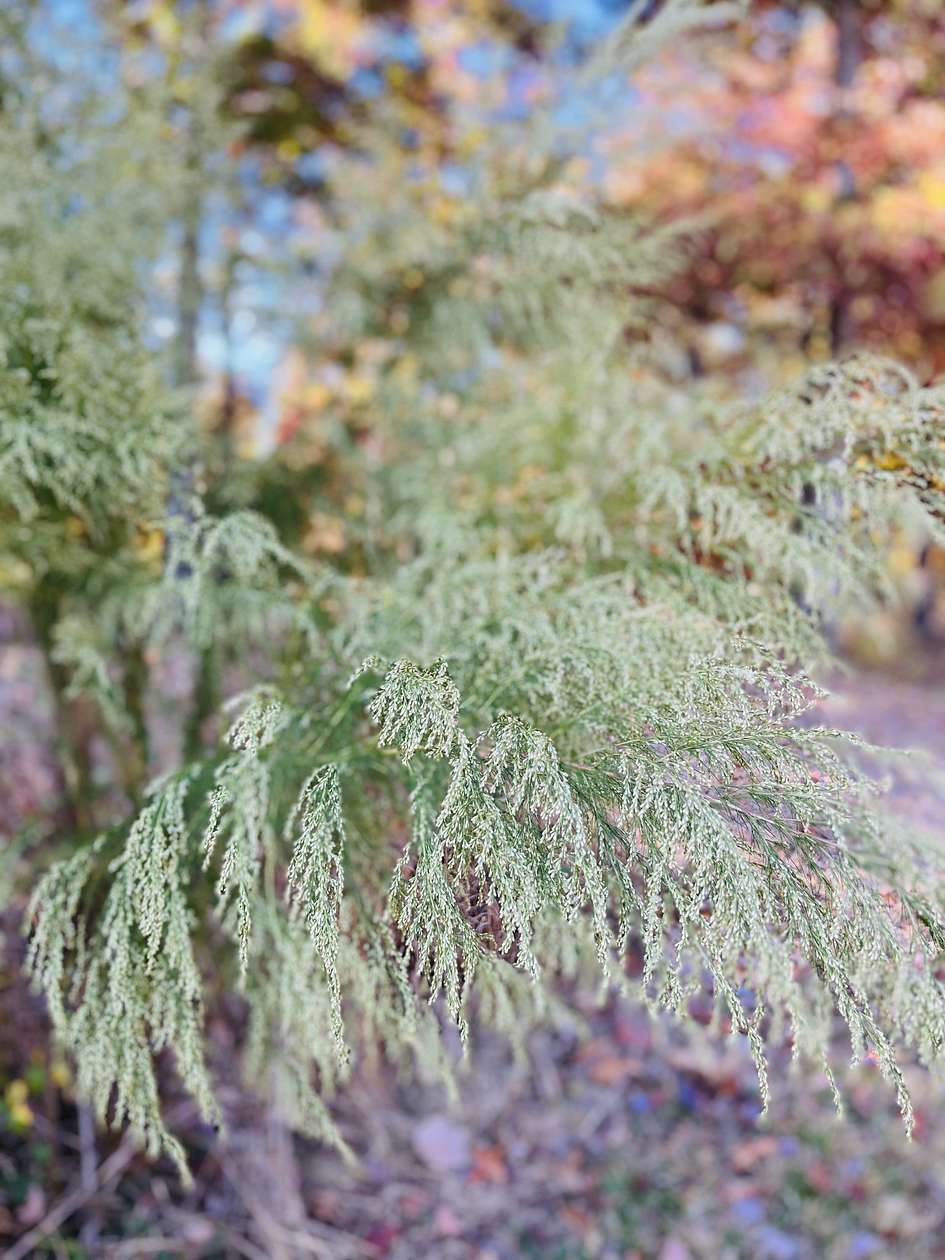 3 Acres of Residential Land for Sale in McEwen, Tennessee