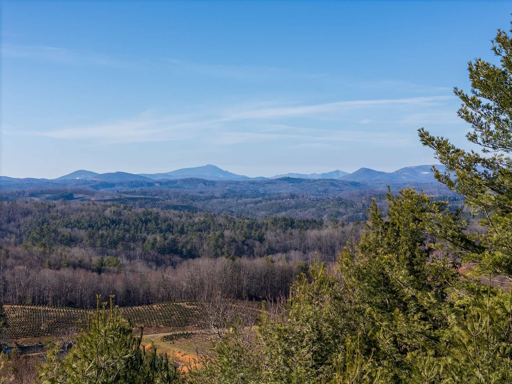 63.8 Acres of Recreational Land for Sale in Fleetwood, North Carolina